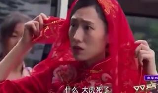 普法栏目剧古镇奇谭 普法栏目剧古镇奇谭