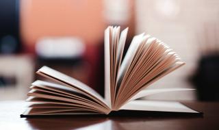 走西口的哥哥没回来 走西口的哥哥没回来